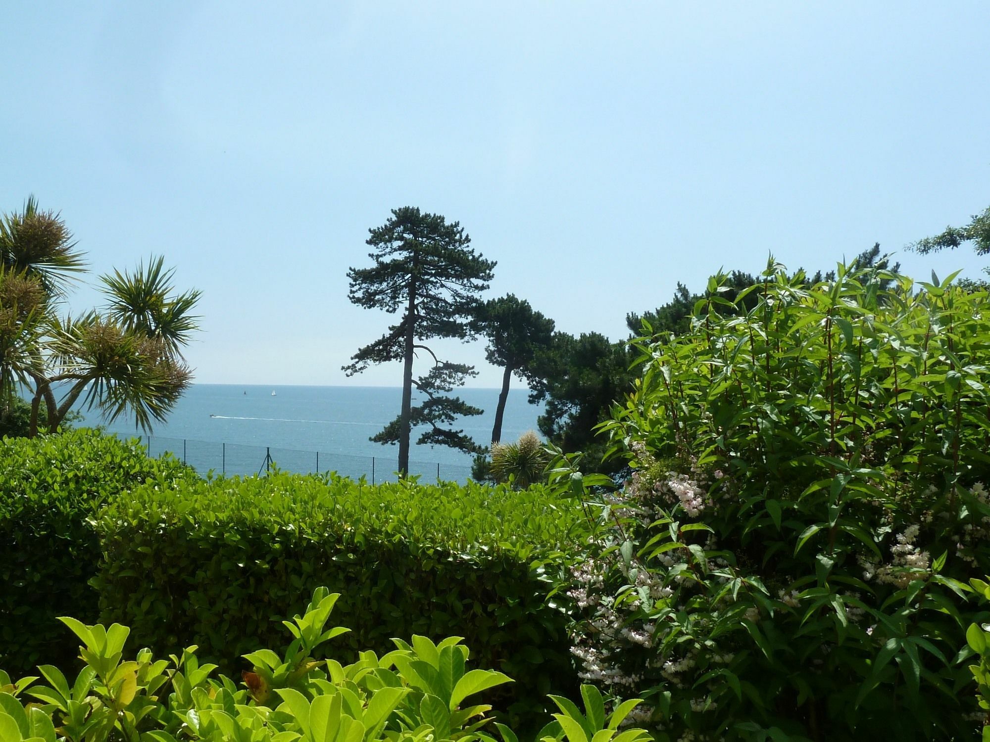 Tramontane Apartment At Hesketh Crescent Torquay Bagian luar foto